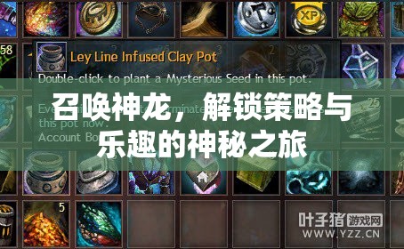召喚神龍，解鎖策略與樂趣的神秘冒險(xiǎn)之旅  第2張