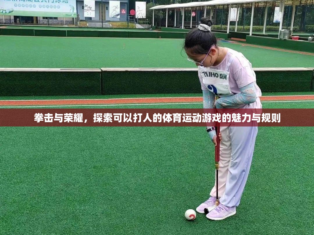 拳擊與榮耀，探索可以打人的體育運(yùn)動(dòng)游戲的魅力與規(guī)則