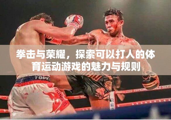 拳擊與榮耀，探索可以打人的體育運(yùn)動(dòng)游戲的魅力與規(guī)則