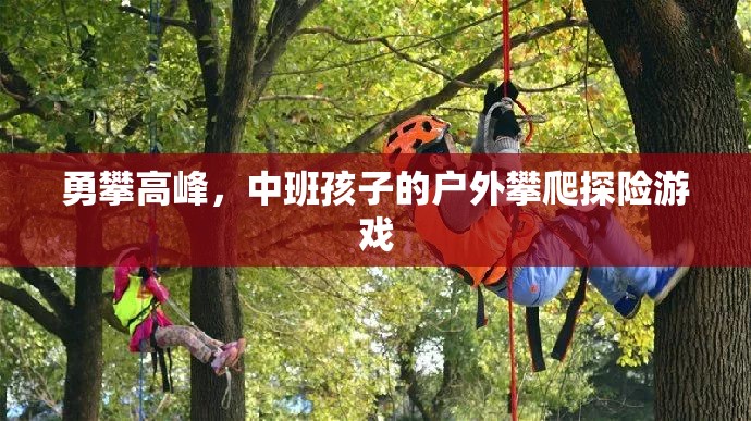 勇攀高峰，中班孩子的戶外攀爬探險游戲