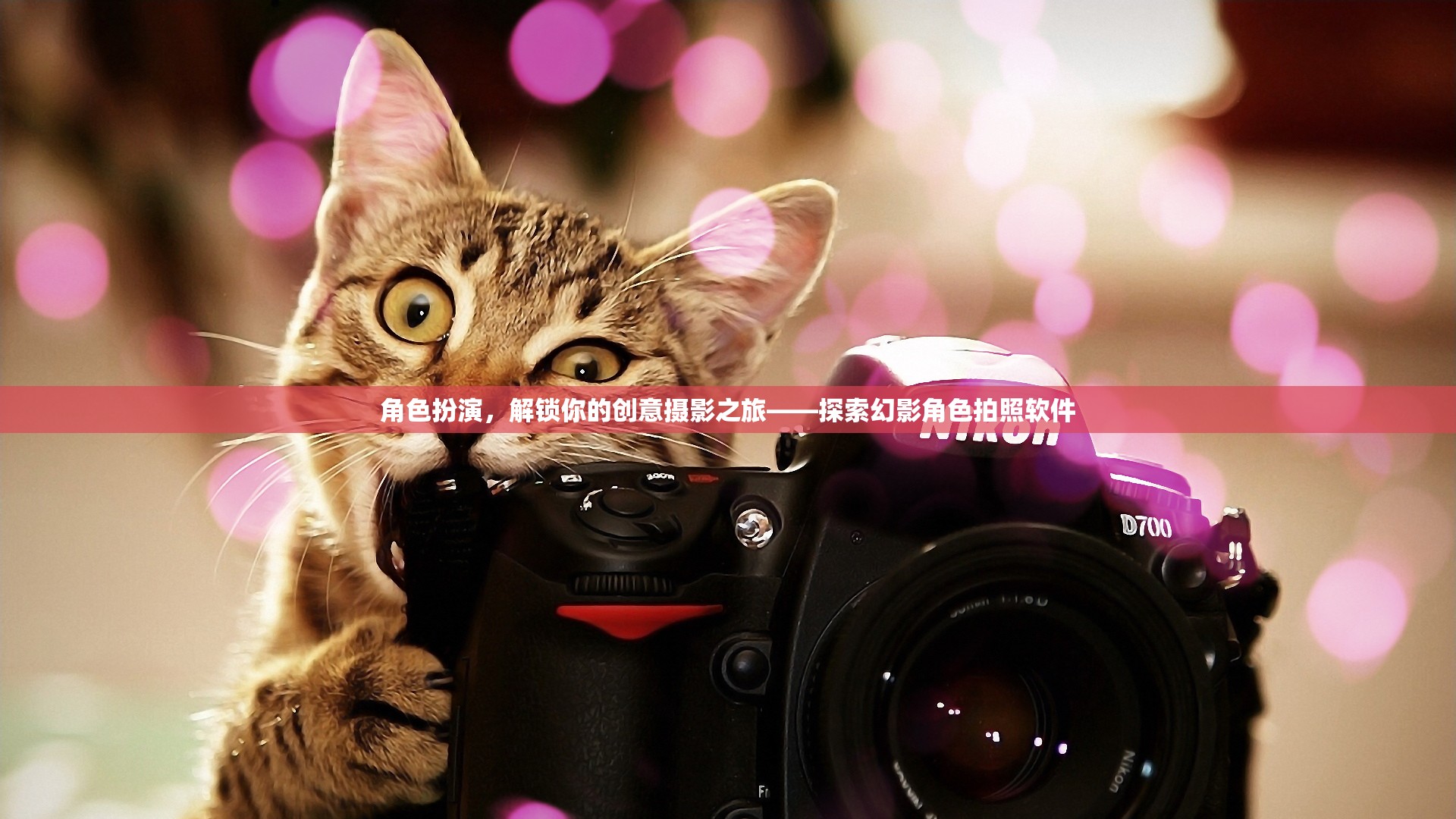 解鎖創(chuàng)意攝影之旅，幻影角色拍照軟件的角色扮演體驗