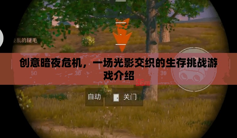 光影交織的生存挑戰(zhàn)，創(chuàng)意暗夜危機(jī)游戲揭秘