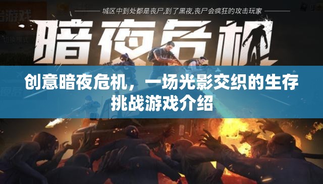 光影交織的生存挑戰(zhàn)，創(chuàng)意暗夜危機(jī)游戲揭秘