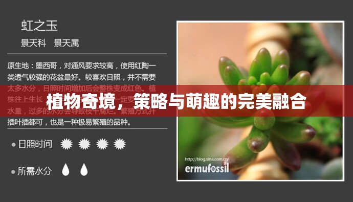 植物奇境，策略與萌趣的雙重盛宴