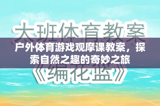 探索自然之趣，戶外體育游戲觀摩課教案的奇妙之旅