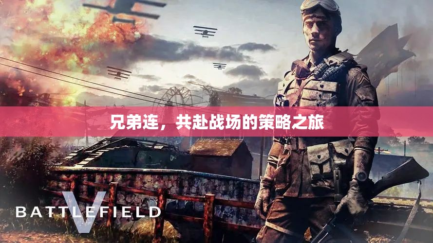 兄弟連，共赴策略戰(zhàn)場(chǎng)的英勇之旅