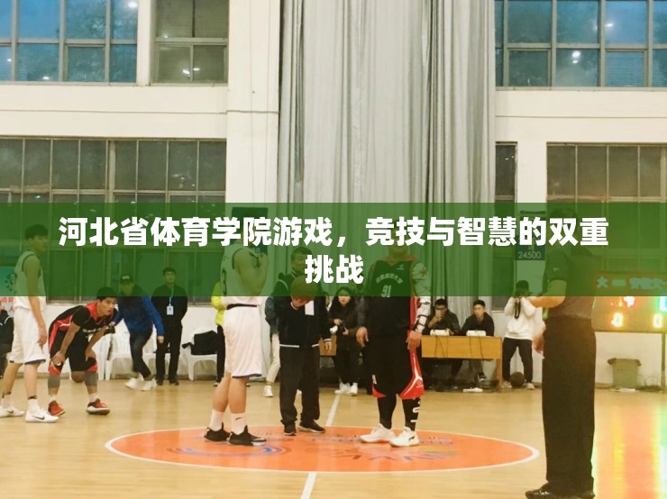 河北體院游戲，競(jìng)技與智慧的雙重挑戰(zhàn)