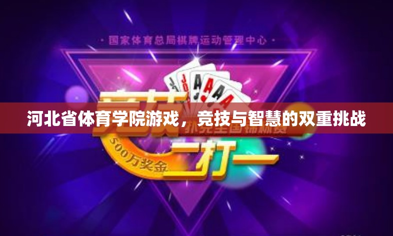 河北體院游戲，競(jìng)技與智慧的雙重挑戰(zhàn)