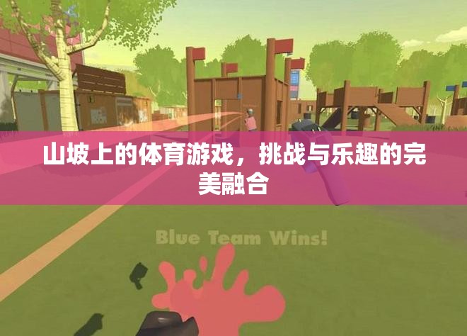 山坡上的挑戰(zhàn)與樂(lè)趣，完美融合的體育游戲體驗(yàn)