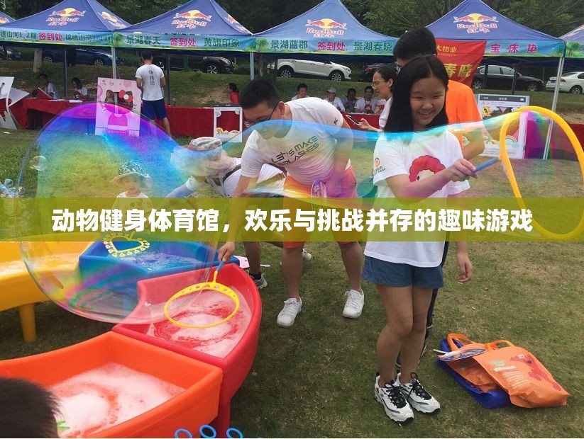 動(dòng)物健身體育館，歡樂與挑戰(zhàn)并存的趣味游戲
