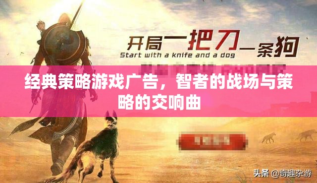 智者的戰(zhàn)場(chǎng)，經(jīng)典策略游戲的策略交響曲