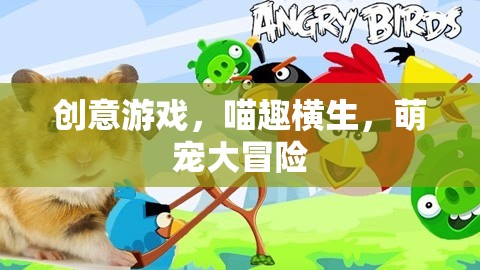 喵趣橫生，萌寵大冒險的創(chuàng)意游戲之旅