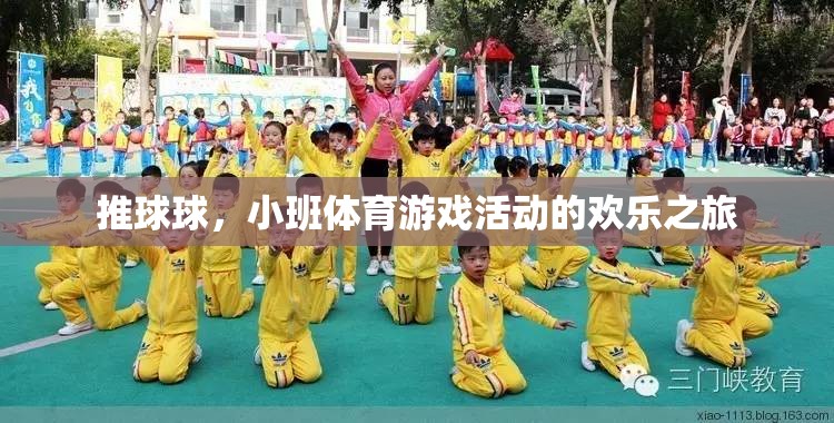 推球球，小班體育游戲中的歡樂與成長之旅