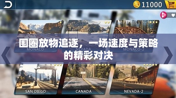 速度與策略的精彩碰撞，圍圈放物追逐賽