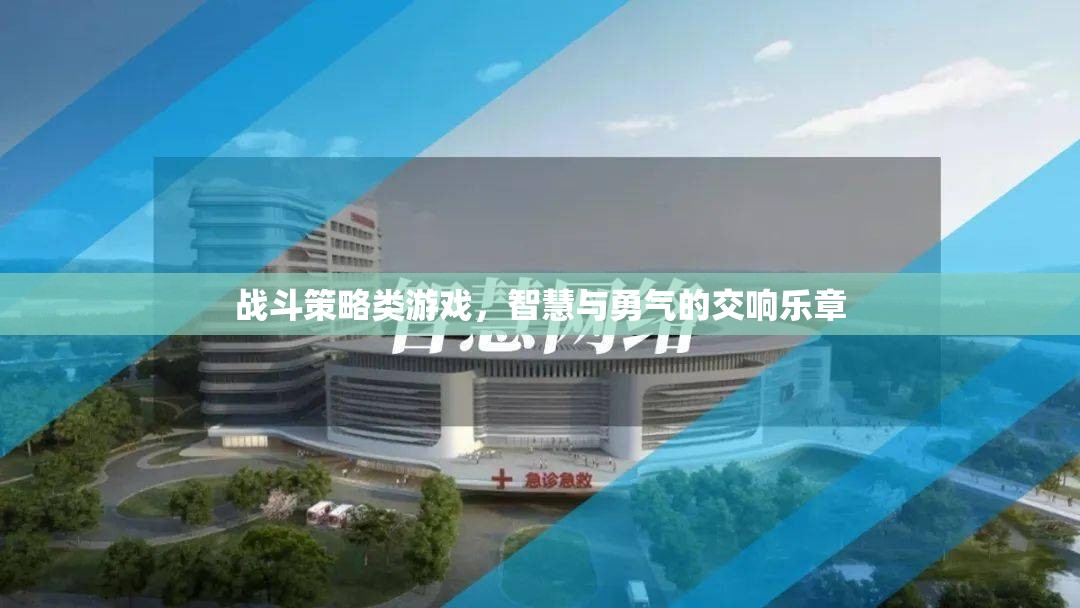 智勇交響，戰(zhàn)斗策略游戲的策略與勇氣之舞