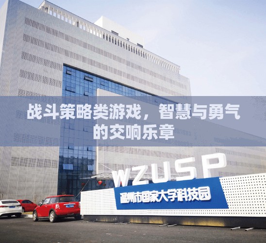 智勇交響，戰(zhàn)斗策略游戲的策略與勇氣之舞
