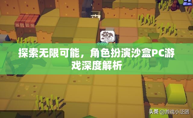 探索無限可能，深度解析角色扮演沙盒PC游戲