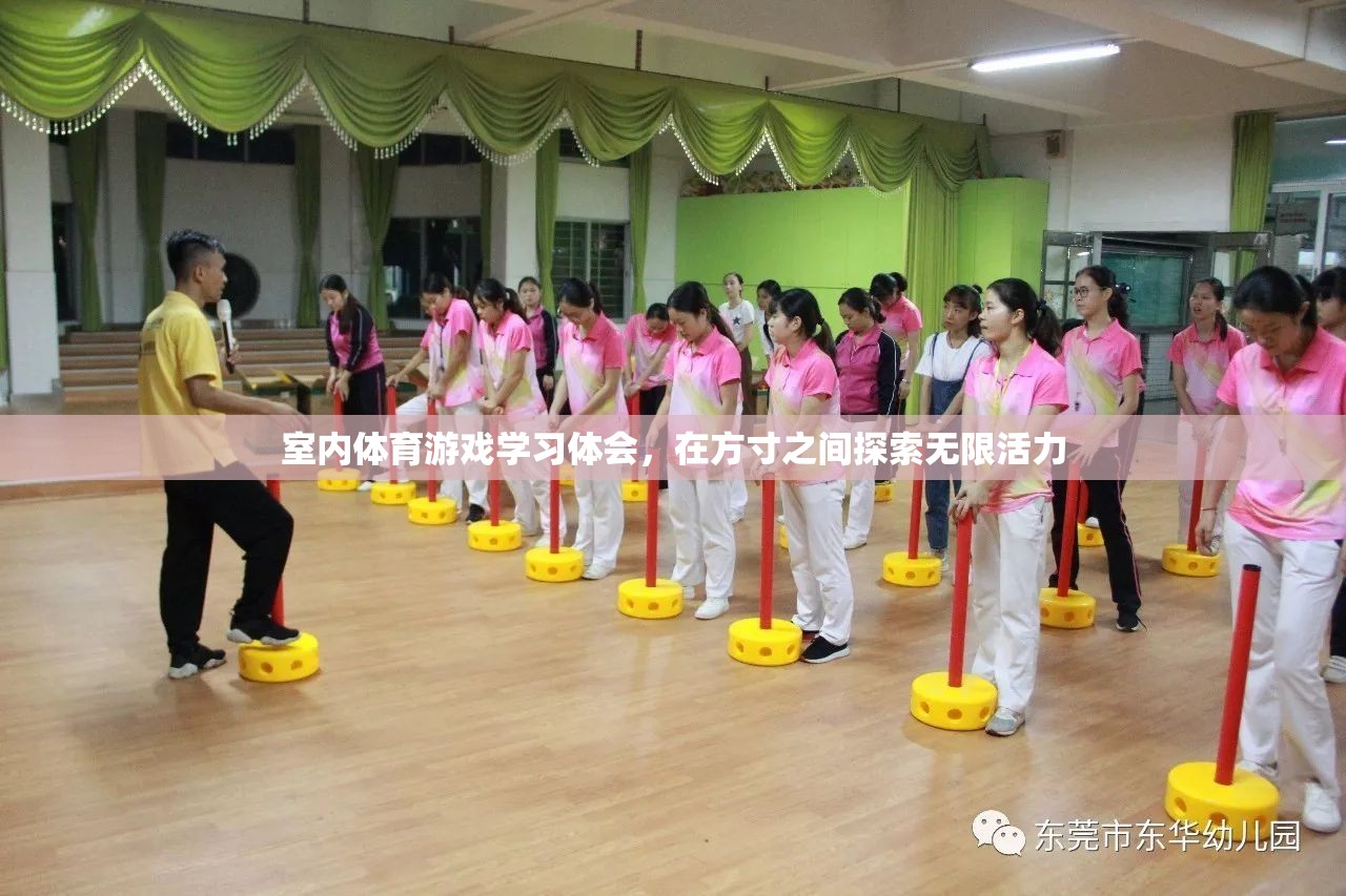 方寸之間，探索無限活力，室內(nèi)體育游戲?qū)W習心得