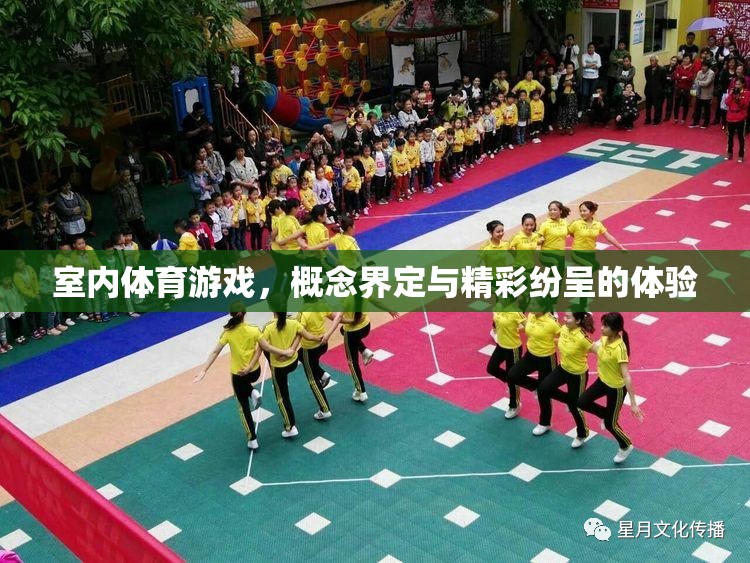 室內(nèi)體育游戲，概念解析與精彩體驗(yàn)的碰撞