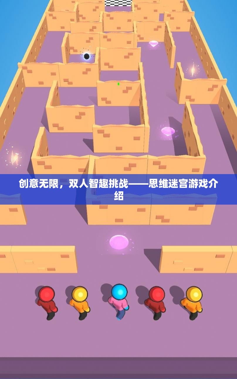 思維迷宮，雙人智趣挑戰(zhàn)的創(chuàng)意之旅