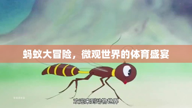 微觀世界的體育盛宴，螞蟻大冒險(xiǎn)  第1張