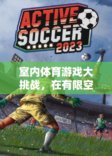 室內(nèi)體育游戲大挑戰(zhàn)，在有限空間中激發(fā)無限潛能的反思