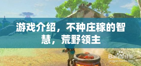 荒野領(lǐng)主，不種莊稼的智慧與游戲探索