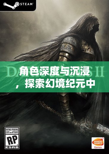 幻境紀(jì)元，角色扮演的深度與沉浸——探索評價標(biāo)準(zhǔn)