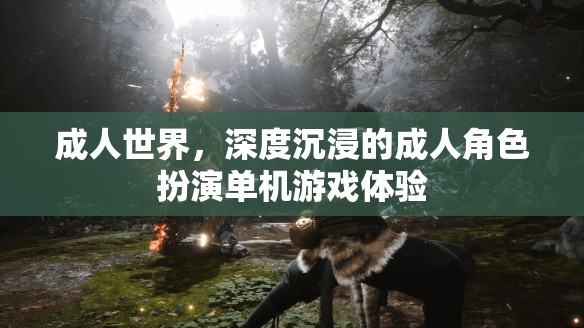 成人世界的深度沉浸，探索成人角色扮演的單機(jī)游戲體驗(yàn)