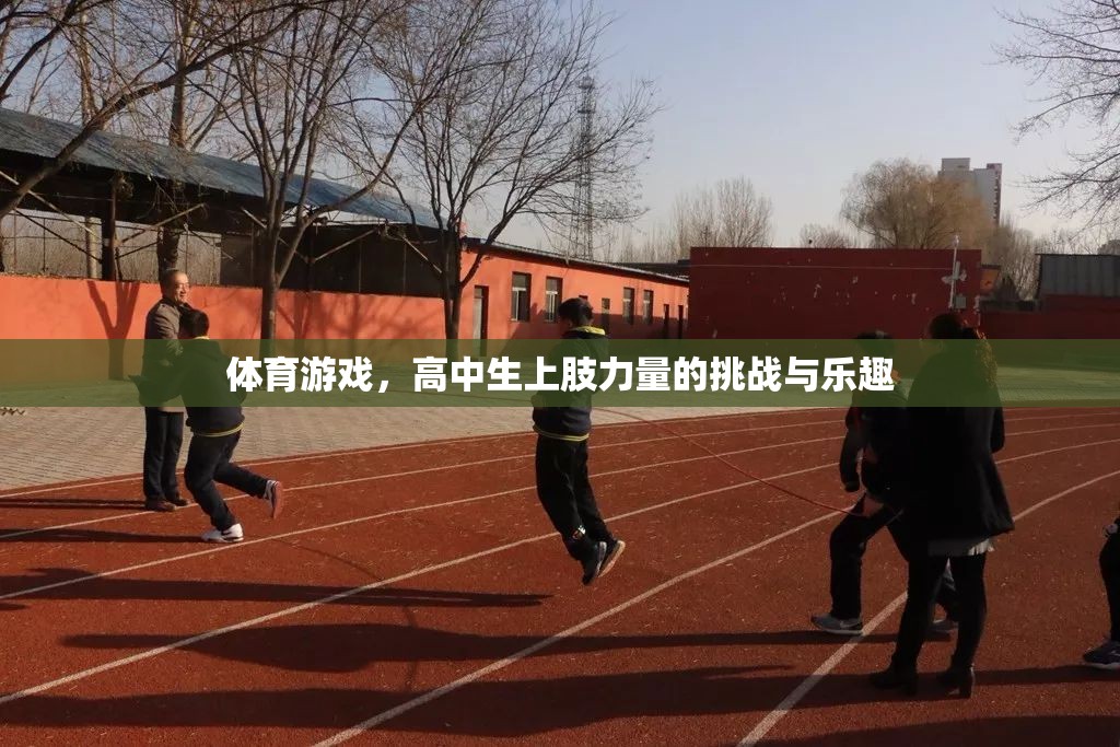 高中生上肢力量的挑戰(zhàn)與樂(lè)趣，探索體育游戲中的力量與樂(lè)趣