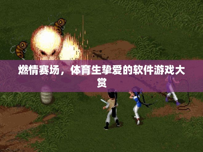 燃情賽場，體育生摯愛的軟件游戲精選  第1張