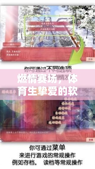 燃情賽場，體育生摯愛的軟件游戲精選  第2張