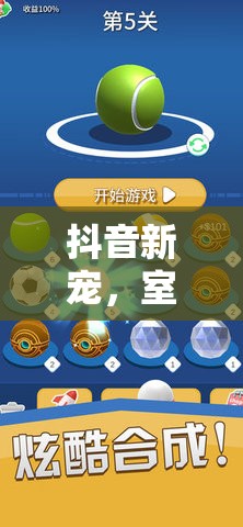 抖音新寵，室內(nèi)體育游戲的魅力大揭秘