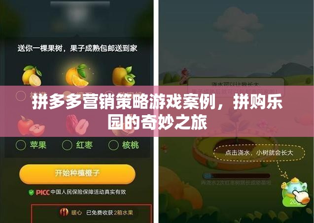 拼多多拼購樂園，營銷策略的奇妙游戲之旅