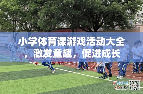 小學體育課游戲活動大全，激發(fā)童趣，促進全面成長