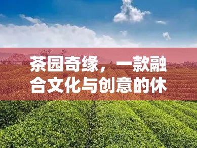 茶園奇緣，文化與創(chuàng)意的休閑游戲之旅