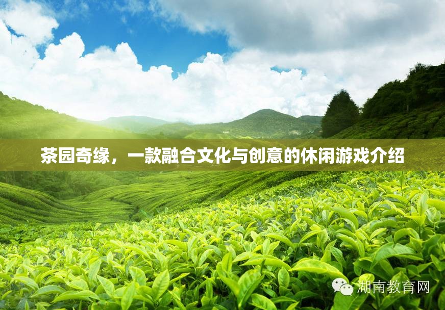 茶園奇緣，文化與創(chuàng)意的休閑游戲之旅