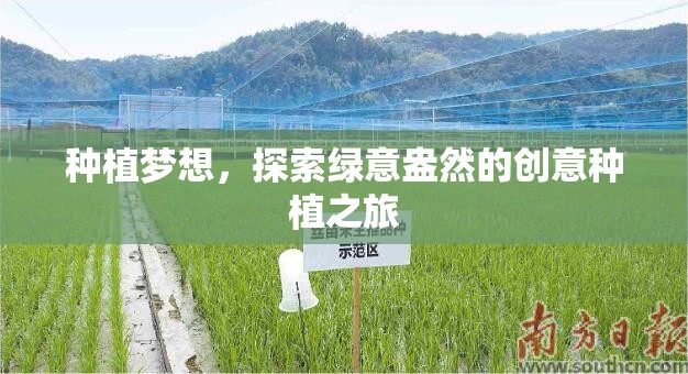 種植夢(mèng)想，一場(chǎng)綠意盎然的創(chuàng)意種植之旅