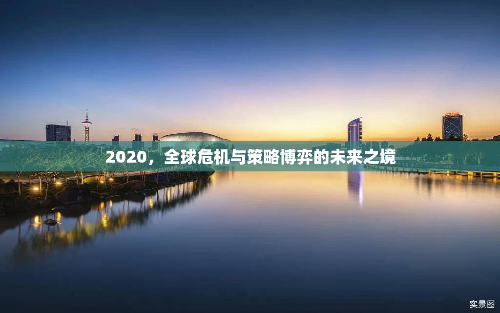 全球危機(jī)與策略博弈，2020年的未來(lái)之境