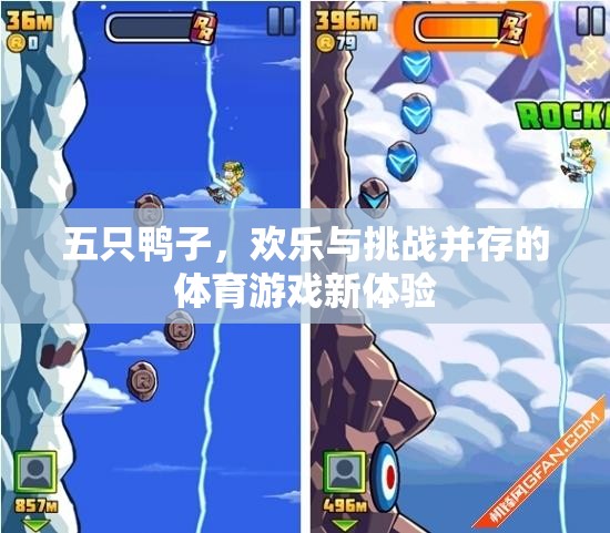 五只鴨子，歡樂與挑戰(zhàn)并存的體育游戲新體驗