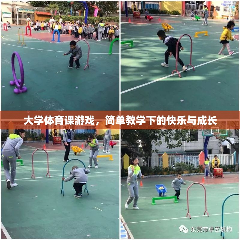 大學(xué)體育課游戲，簡單教學(xué)下的快樂與成長