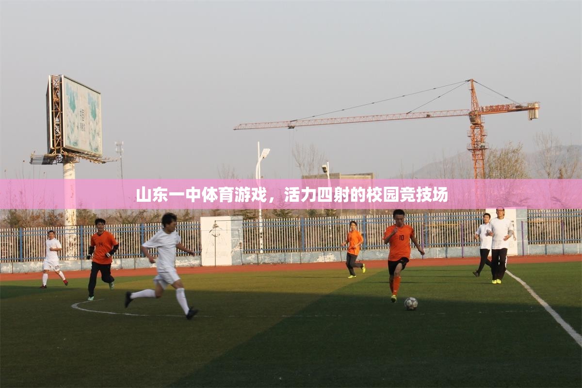 山東一中，活力四射的校園體育游戲競技場  第2張