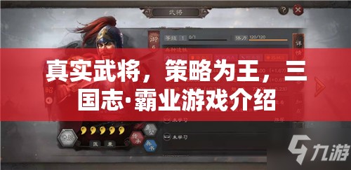 三國(guó)志·霸業(yè)，真實(shí)武將與策略制勝的史詩(shī)級(jí)游戲體驗(yàn)
