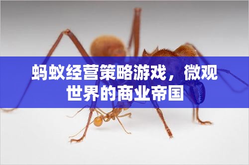 微觀商業(yè)帝國，螞蟻經(jīng)營策略游戲