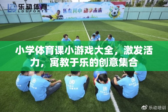 小學(xué)體育課創(chuàng)意小游戲大全，激發(fā)活力，寓教于樂(lè)的趣味集合