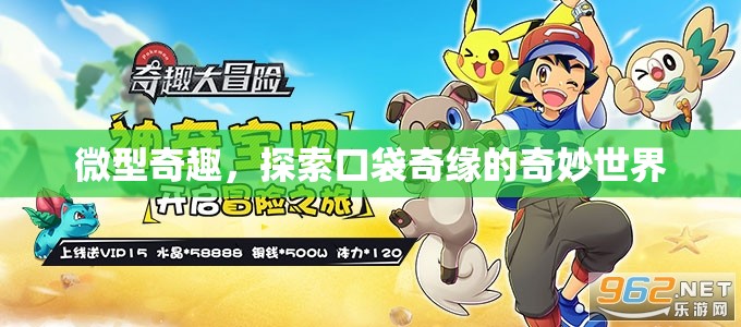 微型奇趣，探索口袋奇緣的奇妙世界