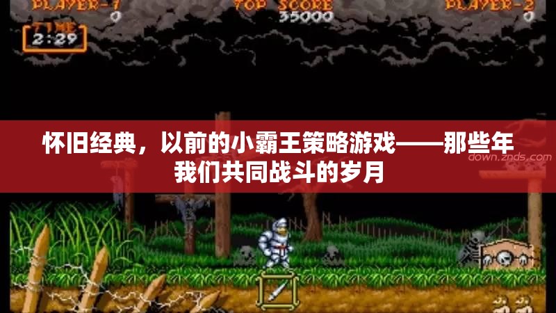 懷舊經(jīng)典，小霸王策略游戲——共同戰(zhàn)斗的歲月