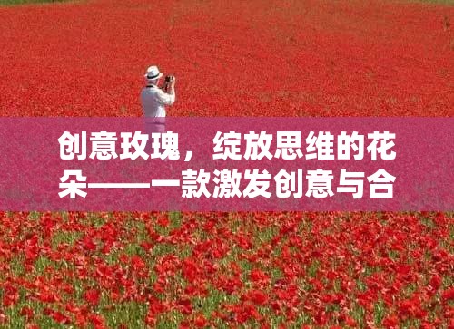 創(chuàng)意玫瑰，數(shù)字游戲激發(fā)創(chuàng)意與合作的新花朵  第3張