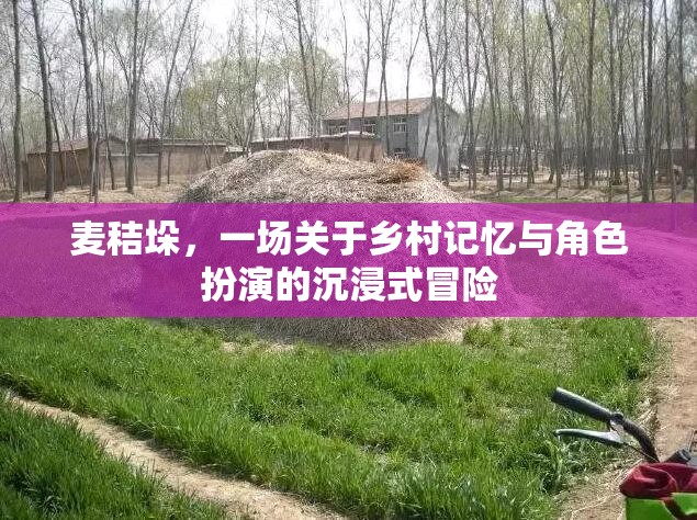 麥秸垛，鄉(xiāng)村記憶與角色扮演的沉浸式冒險之旅