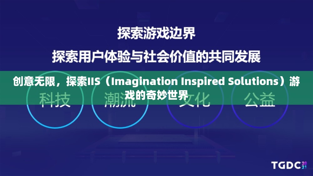 創(chuàng)意無(wú)限，探索IIS（Imagination Inspired Solutions）游戲的奇妙世界
